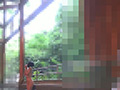 真性家畜ケイコ【衆人環視と家畜小屋】家畜コレクター36