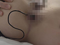 処女従僕響子【愛奴無残編】
