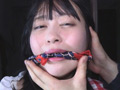 囚われの緊○令嬢 DIDコレクション1
