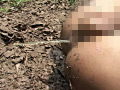 野外飼育される巨根美○年！