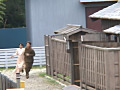 Aki 昭和町娘の駆け落ちストーリー！昭和の町で大胆に！