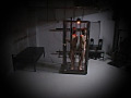 女王様と2人の犬従僕！無数の仕置き＆犬従僕の絡み！！