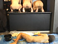 街でスカウトした筋肉質系イケメンに体裁！