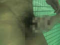 男達の妄想～卑猥な水泳教室～プールで水中SEX！！