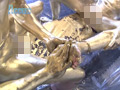 the Mania 塚本鷹生と理一が金色に染まり、掘り合いSEX サンプル画像8