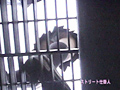 パンチラ路上○撮スペシャル ＜女子○生編＞