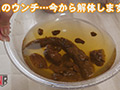 今日たくさんウンチでるかな… 初瀬かのん
