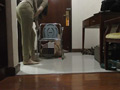 中国超美人深セン妍妍の専属便器になった
