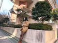 黒パンスト女子大生
