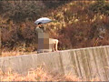熟れ妻愛玩具 フィストファック鞭打ち調○