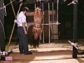生撮り○禁仕置き部屋 逆さ吊りでむせび泣く人妻