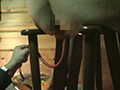 山荘陵○熟れ妻調○