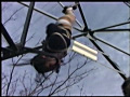 緊○従僕女子○生 ○禁M飼育調○