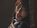 従僕女校生 危険な罠