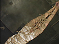 従僕通信 No.19