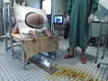 異常性欲医肛虐のカルテ5