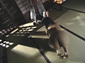 ビザールオルガズム12