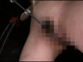 麗獣保護痴区4 楓乃々花