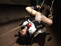 SM浣射祭’09