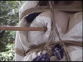 悦虐縄人形4