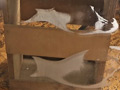【足のにおい】野球グローブ肉厚