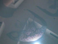 【足のにおい】足の臭いアイドル