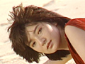 Legend Gold コスモス 横須賀昌美