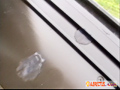 マニ☆エロ マニア投稿004 18歳のアレにメロメロどぴゅ1