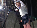 女子○生暴虐絶頂肉玩具