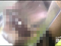 サクッと男体大解剖
