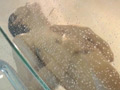 HOSTRY ギンギラ☆ボーイズ