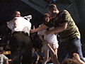ALL THE CATFIGHT LOVERS 1
