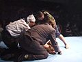 ALL THE CATFIGHT LOVERS 1