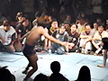 ALL THE CATFIGHT LOVERS 4