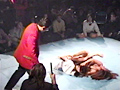 ALL THE CATFIGHT LOVERS 3