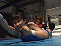 プロレズリング Vol.15