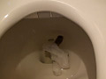 今日のうんこ3
