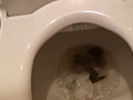 今日のうんこ3