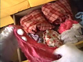 下着泥棒～被○件数5件～2