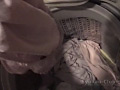 下着泥棒～被○件数5件～4