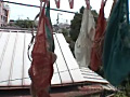 下着泥棒～被○件数5件～5