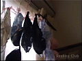 下着泥棒～被○件数5件～6
