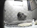 某有名店 個室ピンサロ○撮 常連男の本○交渉術
