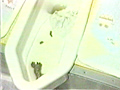 友子のおトイレ日記