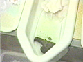 友子のおトイレ日記
