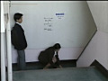 美尻桃尻スペシャル 総集編