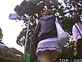東京パンチラ娘09