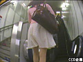 東京パンストコレクション06