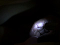 従僕女教師 浣腸書道教室 黒木唯香