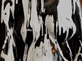 Black Painting002
